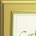 Satin Gold Raised Designer Frame